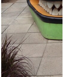 havaianas | ビーチサンダル