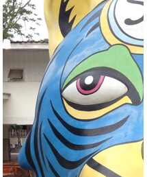 Ray-Ban | サングラス