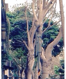 無印良品 | その他アウター