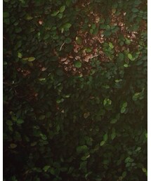 UNIQLO | デニムパンツ