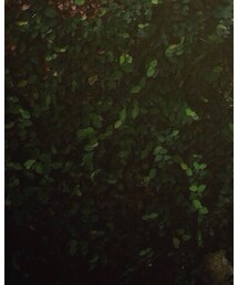 UNIQLO | ソックス/靴下