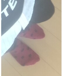 靴下屋 | ソックス/靴下