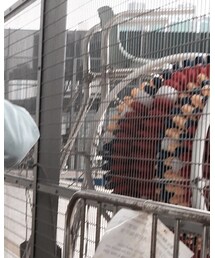 MOUSSY | Tシャツ/カットソー