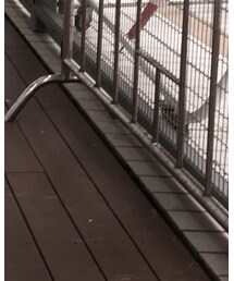 American Eagle | デニムパンツ