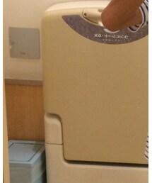 UNIQLO | トップス