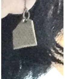 PRIMAL CURVE | ピアス（片耳用）