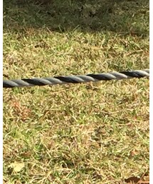 petit main | ニットキャップ/ビーニー