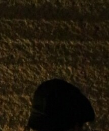 CA4LA | ハンチング/ベレー帽