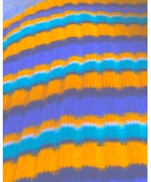 WEGO | ポロシャツ