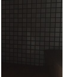 Import & Select | ベルト