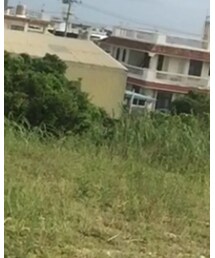 UNIQLO | その他パンツ