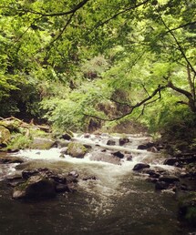 写真 | 杜鵑峡(その他)