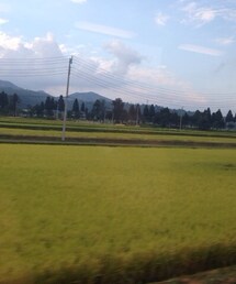 風景 | 出張先の車窓から(その他)