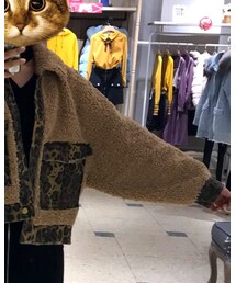 森林鸟 | アンダーウェア