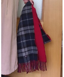 TOMMY HILFIGER | マフラー