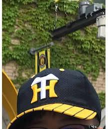 阪神タイガース | キャップ