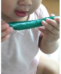 キューリ | その他