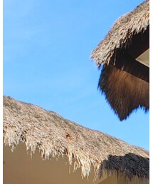 🏝☀️セブ島🏝☀️✨ | その他