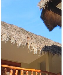 🏨BLUE WATER MRIBAGO🏨 | その他