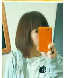 デロームブレナー | アクセサリー