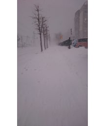 いまの天気 | その他