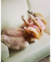 手足がピーン!!!!!の子 | 福袋/福箱