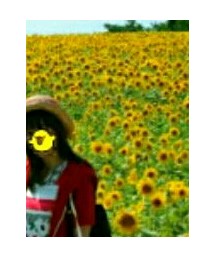 NICOLE | パーカー