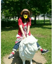 ひつじ | その他