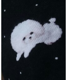 パーマ犬 | その他