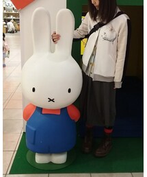 ミッフィーつかまえた | その他