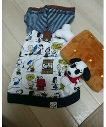 PET PARADISE | その他