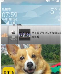 今朝の出勤時の気温 | その他
