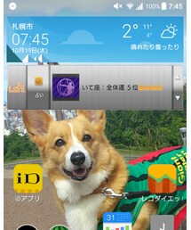 今朝の気温寒い | その他