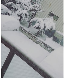 果てしない雪 | その他