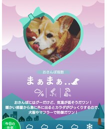 ワンポウェザー | その他