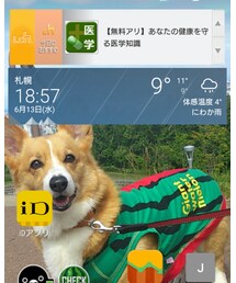 さむー | その他