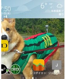 体感温度1℃ | その他