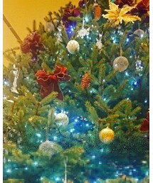 綺麗だったツリー | その他