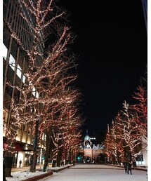 赤レンガテラスイルミネーション | その他