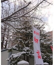 北海道神宮頓宮寒かった | その他
