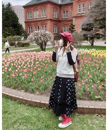 チューリップも綺麗だった | その他