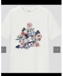 UNIQLO | UNIQLO×ポール&ジョー　Tシャツ(Tシャツ/カットソー)