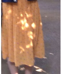 LILY BROWN | スカート