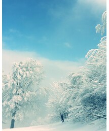 雪 | その他