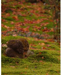 わらべ地蔵2 | その他