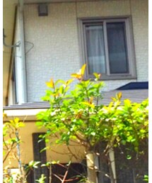 COMMECAISM   | Tシャツ/カットソー