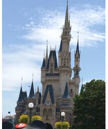 東京ディズニーランド | その他