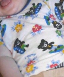 MIKI HOUSE | Tシャツ/カットソー