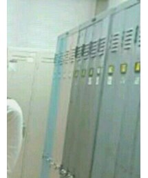 Honeys | Tシャツ/カットソー