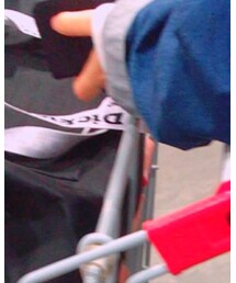 Dickies | トートバッグ